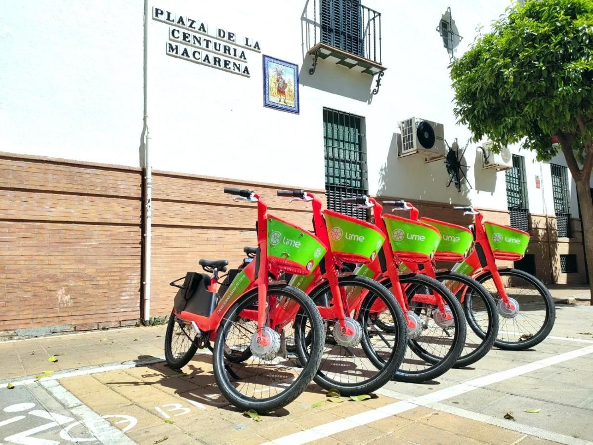 Macarena, En El Centro De Appartamento